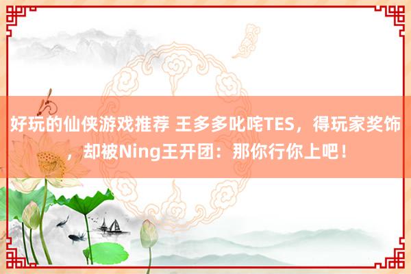 好玩的仙侠游戏推荐 王多多叱咤TES，得玩家奖饰，却被Ning王开团：那你行你上吧！