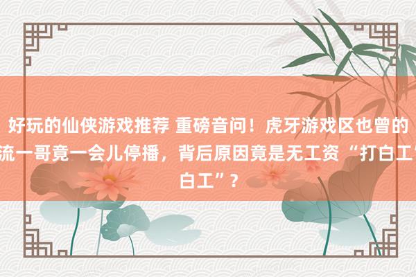 好玩的仙侠游戏推荐 重磅音问！虎牙游戏区也曾的顶流一哥竟一会儿停播，背后原因竟是无工资 “打白工”？