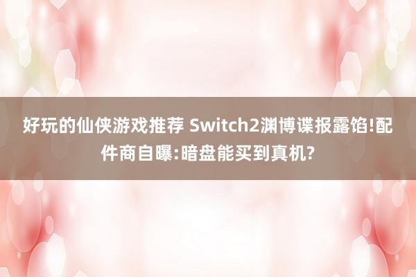 好玩的仙侠游戏推荐 Switch2渊博谍报露馅!配件商自曝:暗盘能买到真机?