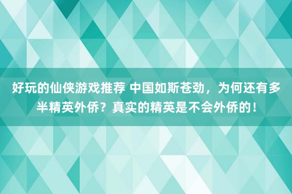 好玩的仙侠游戏推荐 中国如斯苍劲，为何还有多半精英外侨？真实的精英是不会外侨的！